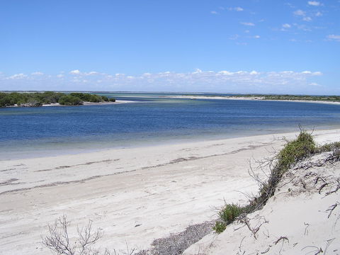 Acraman Creek Conservation Park Campgrounds - Kalgoorlie Accommodation 1