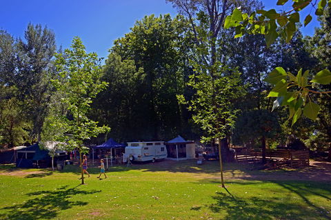 Ardern's Caravan Park Myrtleford - Kalgoorlie Accommodation 0