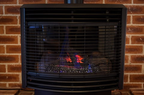 Federation Gardens And Possums Hideaway - Kalgoorlie Accommodation 5