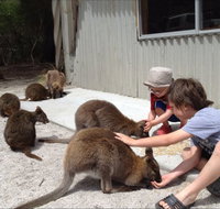 The Patriarch Wildlife Sanctuary Camping Ground - Kalgoorlie Accommodation