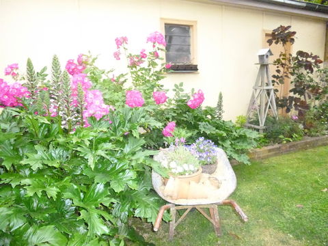 Aggies Bed And Breakfast - Kalgoorlie Accommodation 2
