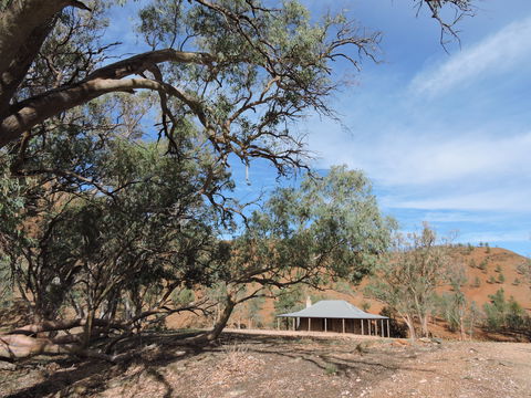 Alpana Station - Kalgoorlie Accommodation 6