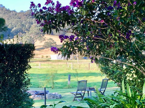 Arcadia Cottages At Cambewarra - Kalgoorlie Accommodation 5