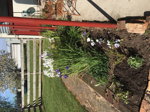 Fairview Bed And Breakfast Cottage - Kalgoorlie Accommodation 2