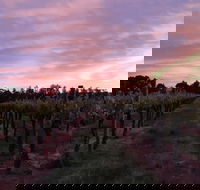 Milawa Vineyard Views - Kalgoorlie Accommodation
