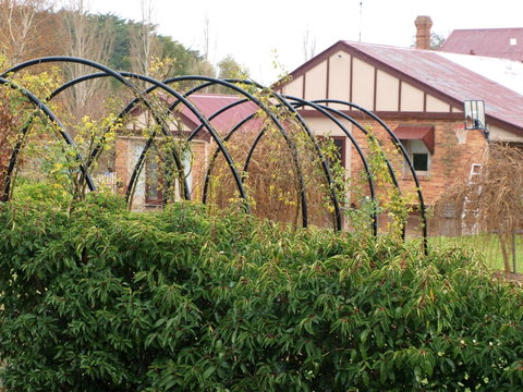Pierrepoint Wines Bed & Breakfast - Kalgoorlie Accommodation 1