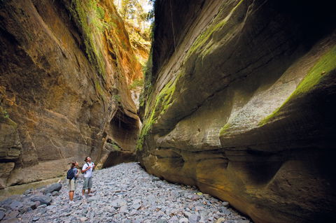 Carnarvon National Park Camping - Kalgoorlie Accommodation 0