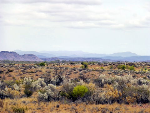 Nudlamutana Hut - Kalgoorlie Accommodation 1