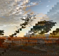 Rocklea Farm - Kalgoorlie Accommodation