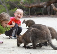 The Patriarch Wildlife Sanctuary Camping Ground - Kalgoorlie Accommodation