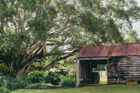 The Eumundi Dairy - Kalgoorlie Accommodation 2
