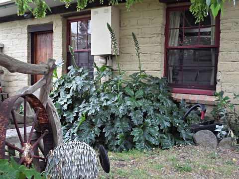 Woolly Butt Bungalow - Kalgoorlie Accommodation 2