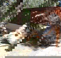 Yelverton Brook Eco Spa Retreat and Conservation Sanctuary - Kalgoorlie Accommodation