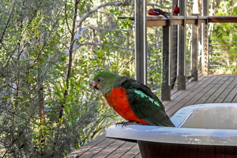 Araluen Park Cottages - Kalgoorlie Accommodation 2