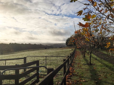 Cheeky Fox Retreat - Kalgoorlie Accommodation 2