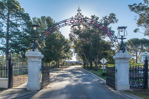 Kapunda Tourist Park - Kalgoorlie Accommodation 0