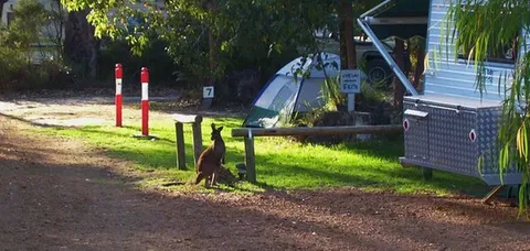 Aroundtu-It Eco Caravan Park - Kalgoorlie Accommodation 5