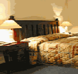 Comfort Inn Treetop Walk - Kalgoorlie Accommodation