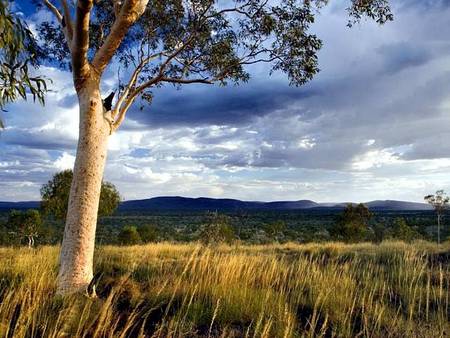 Karijini Eco Retreat - Kalgoorlie Accommodation 5