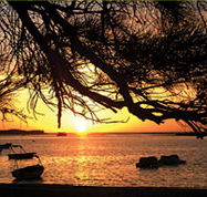 Pelican's Nest - Kalgoorlie Accommodation