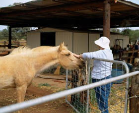 Nallan Station - Kalgoorlie Accommodation 0