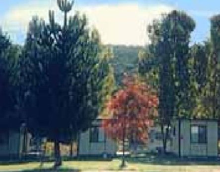 Anglers Reach Caravan Park - Kalgoorlie Accommodation 0
