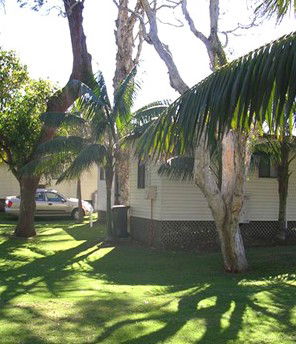 Arrawarra Beach Holiday Park - Kalgoorlie Accommodation 1