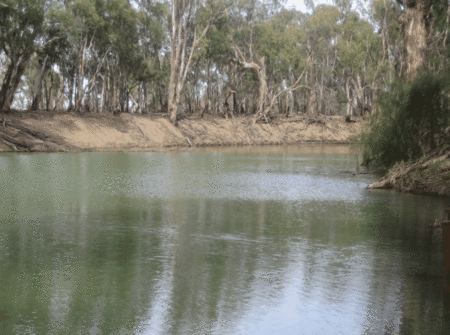 Balranald Club Motel - Kalgoorlie Accommodation 1