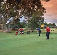 Barham Golf Resort - Kalgoorlie Accommodation