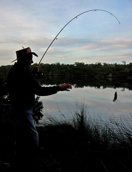 Molloy Caravan Park - Kalgoorlie Accommodation 5