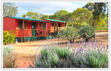 Toodyay Caravan Park - Kalgoorlie Accommodation 2
