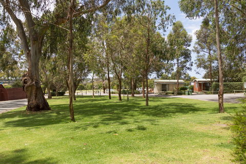 A Maze'N Things Holiday Park And Motel - Kalgoorlie Accommodation 0