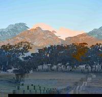 Barney Creek Vineyard Cottages - Kalgoorlie Accommodation