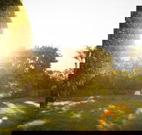 Comfort Inn and Suites Robertson Gardens - Kalgoorlie Accommodation