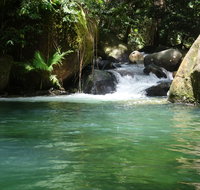 Daintree Secrets Rainforest Sanctuary - Kalgoorlie Accommodation