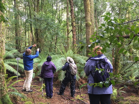Forest Walks Lodge - Eco-Accommodation - Kalgoorlie Accommodation 1