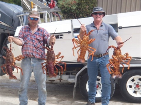 Island View Retreat - Kalgoorlie Accommodation 2