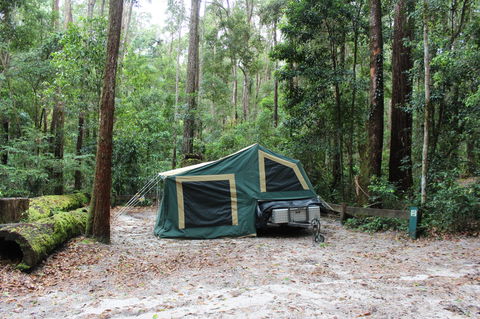 K'gari (Fraser Island) Camping, Great Sandy National Park - Kalgoorlie Accommodation 2