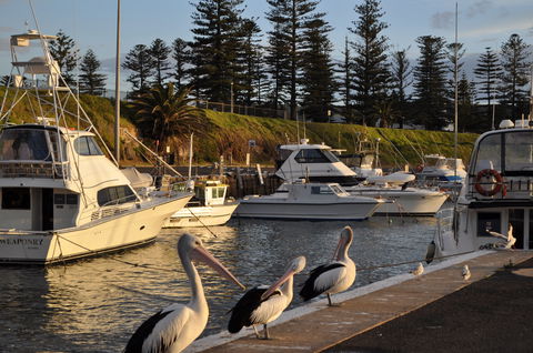 Nautica Accommodation Gerringong - Kalgoorlie Accommodation 2