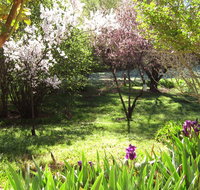 Sofala Cottage - Kalgoorlie Accommodation