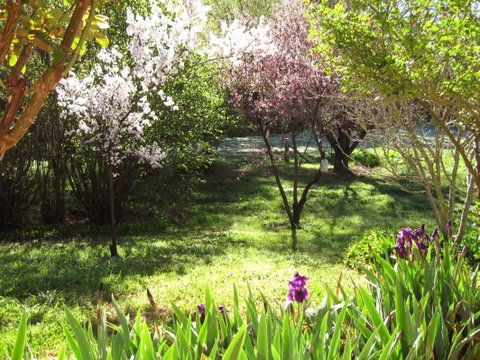 Sofala Cottage - Kalgoorlie Accommodation 0
