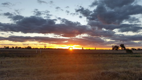 Whispering Pines Farm Stay - Kalgoorlie Accommodation 0