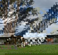Woodenbong B and B - Kalgoorlie Accommodation