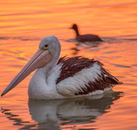 4 Pelican Court - River Shack Rentals - Kalgoorlie Accommodation