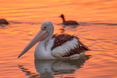 4 Pelican Court - River Shack Rentals - Kalgoorlie Accommodation 0