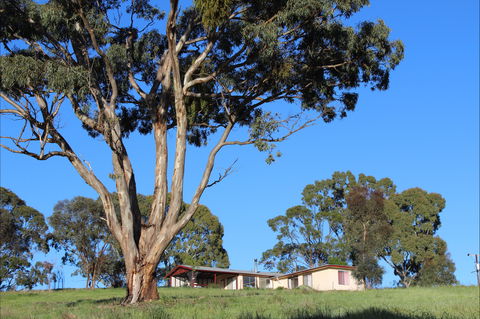 Clare View Accommodation - Clare View Cottage - Kalgoorlie Accommodation 2