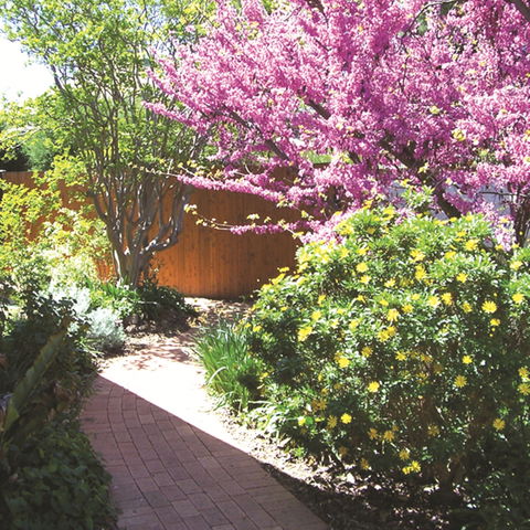 Country Gardens Motor Inn - Kalgoorlie Accommodation 1
