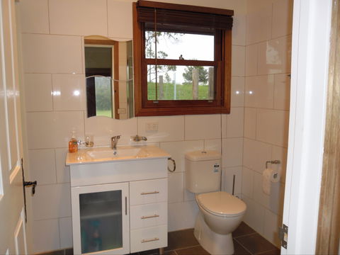 Highland Cattle Farm Stay - Kalgoorlie Accommodation 2