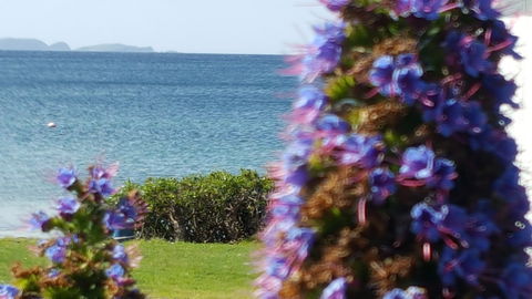 Rock Lobster - Kalgoorlie Accommodation 2