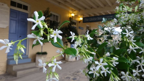 The Globe Inn - Kalgoorlie Accommodation 1